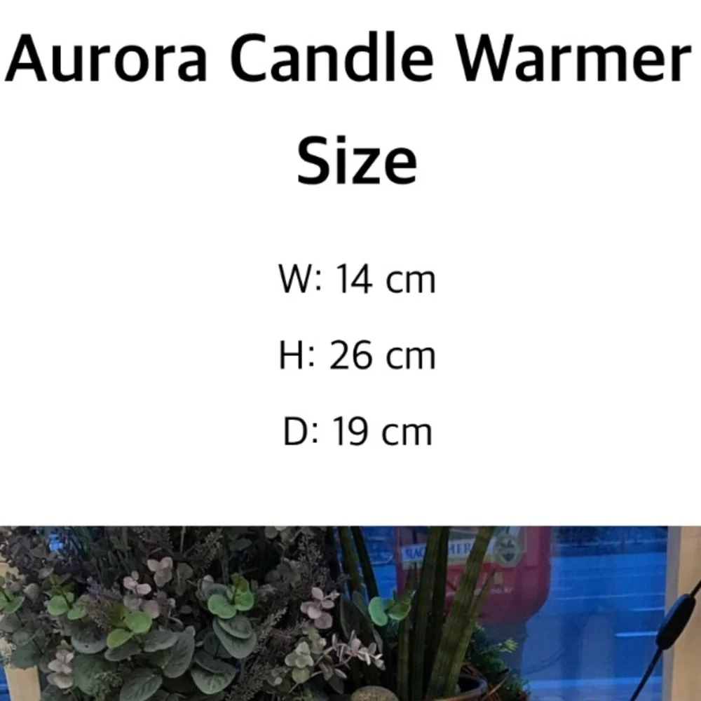 Aurora dorm friendly